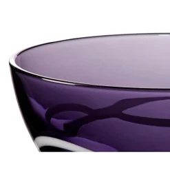 Dessertschalen^Amara Design 6 Schälchen Kompottschale Müßlischale Obst Glas lila violett Schale 12,5cm