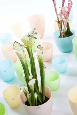 Blumentopf^Cristalica Blumentopf Silk 13,5 cm