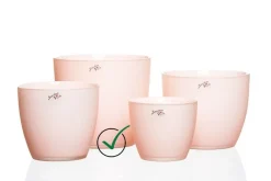 Blumentopf^Cristalica Blumentopf Silk aprikose div. Gr.