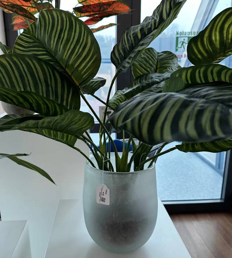 Kunstblumen^Cristalica Calathea rotundifolia (Korbmaranthe) Kunstpflanze