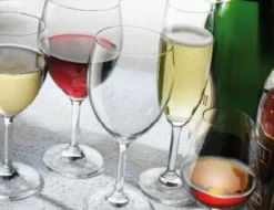 Cognacschwenker^Cristalica Cognacglas Globo ca. 240ml