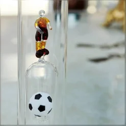 Sport & Hobby|Flaschen^Fan Unikate Geschenkflasche Fußballer Präsent 350 ml