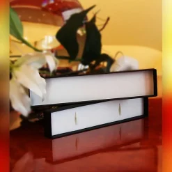 Männer|Arbeitszimmer^Art Glass Geschenkverpackung "Feder" (23,5x5x2,5cm)