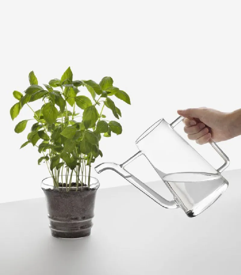 Sonstiges|Blumentopf^Cristalica Glasgießkanne Boboli für drinnen und draußen 20cm Transparent