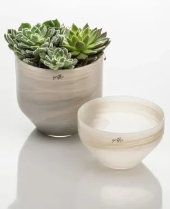 Schalen^Glaswaren sonstige Glasschale creme Alabaster 17cm Obstschale Dekoration Gestecke Geschenk