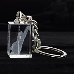 Sternzeichen|Geburtstag^Designmonster Glasschlüsselanhänger Sternzeichen Löwe 3x2cm