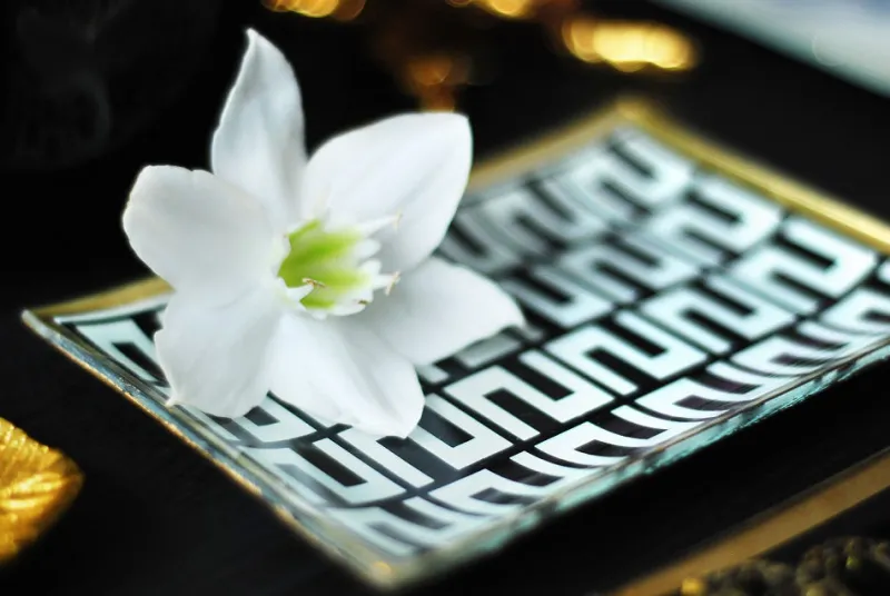 Geburtstag|Glasteller^Glaswaren sonstige Glasteller Goldrand Koralle weiß blau Maritim 10x10cm