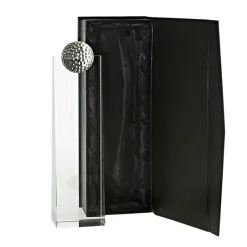 Pokal & Glasblock^Fan Unikate Glastrophäe Tania Pokal 28cm