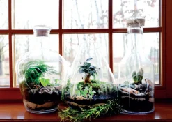 Xxl|Vasen^Cristalica Kingdom Glasvase Papero Famous 44cm Pflanzgefäß mit Loch Dekoelement Klarglas Geschenk