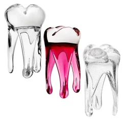 Jubiläum|Skulpturen^Art Glass Glaszahn Trophäe div. Größen/Farben