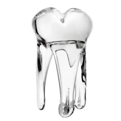 Jubiläum|Skulpturen^Art Glass Glaszahn Trophäe div. Größen/Farben