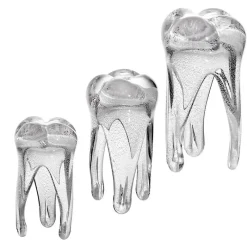 Jubiläum|Skulpturen^Art Glass Glaszahn Trophäe div. Größen/Farben