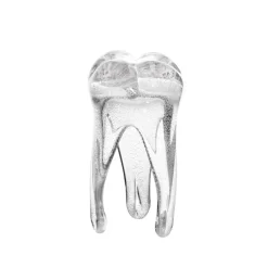 Jubiläum|Skulpturen^Art Glass Glaszahn Trophäe div. Größen/Farben