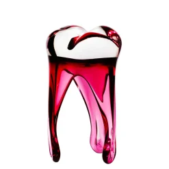 Jubiläum|Skulpturen^Art Glass Glaszahn Trophäe div. Größen/Farben