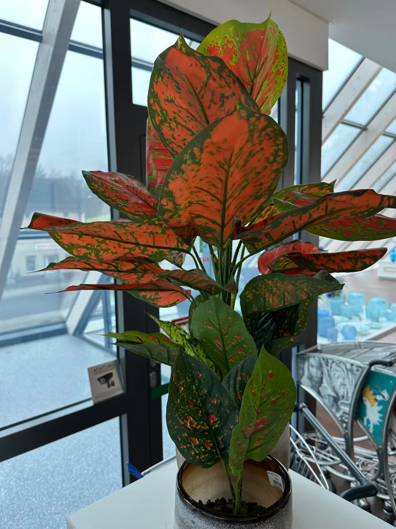 Kunstblumen^Cristalica Grün Diffenbachia Kunstbaum