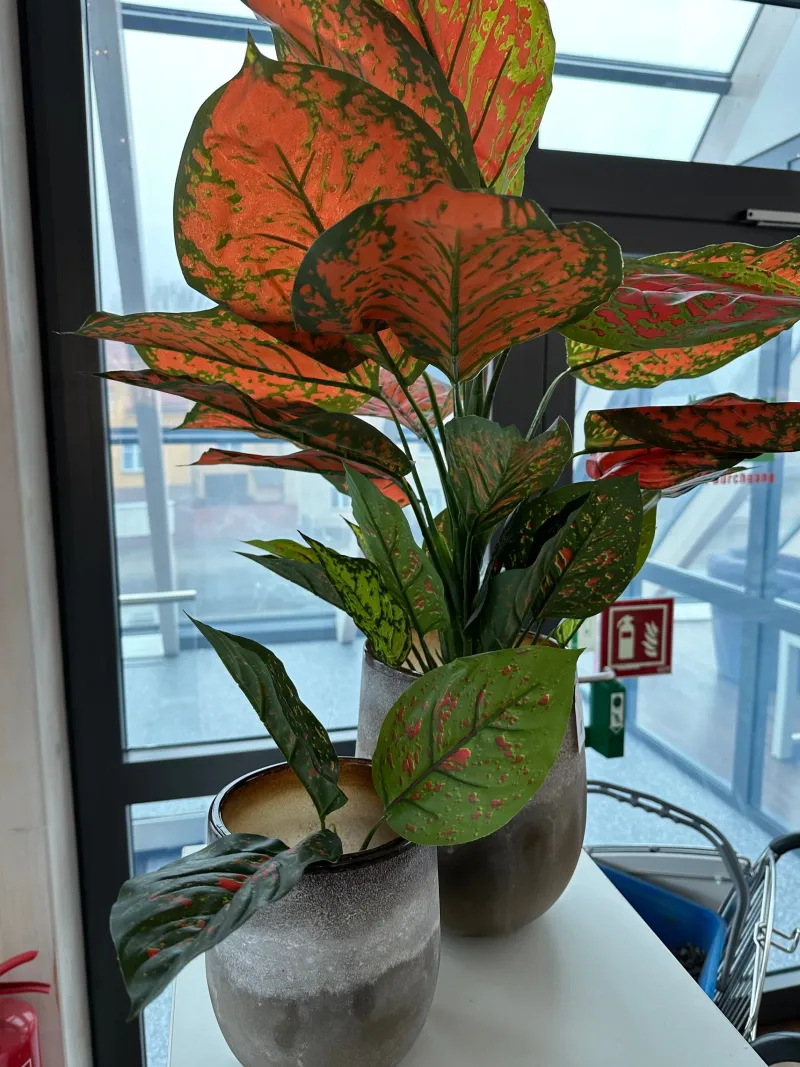 Kunstblumen^Cristalica Grün Diffenbachia Kunstbaum