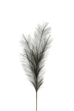 Kunstblumen^Dekorationswaren Kunstblume Deko-Zweig Pampas Länge 85cm