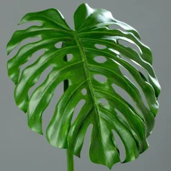 Ostern|Ostern^Cristalica Kunstblume Monsterablatt 112cm