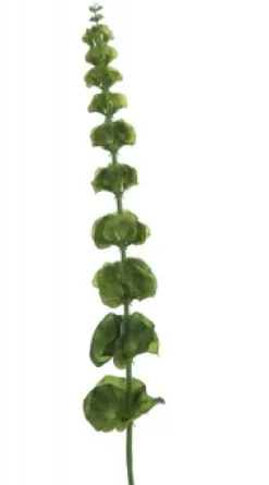 Ostern|Ostern^Dekorationswaren Kunstblume Muschelblume Zweig grün 78 cm