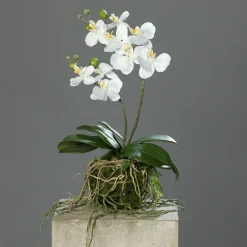 Ostern|Ostern^Cristalica Kunstblume Orchidee mit Erdballen creme