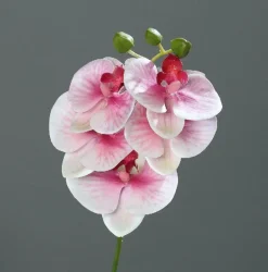 Ostern|Ostern^Cristalica Kunstblume Orchidee-Phalaenopsis pink-cream 37 cm