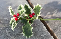 Kunstblumen^Dekorationswaren Kunstblume Stechpalme Zweig (33cm)