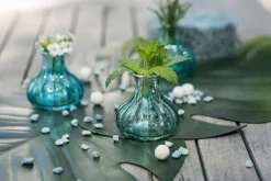 Vasen|Ostern^Cristalica Minivasen Bottle Belly 3er Set