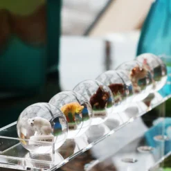 Nuggets & Murmeln^Cristalica Kingdom Murmeln mit Tierfiguren (30mm)