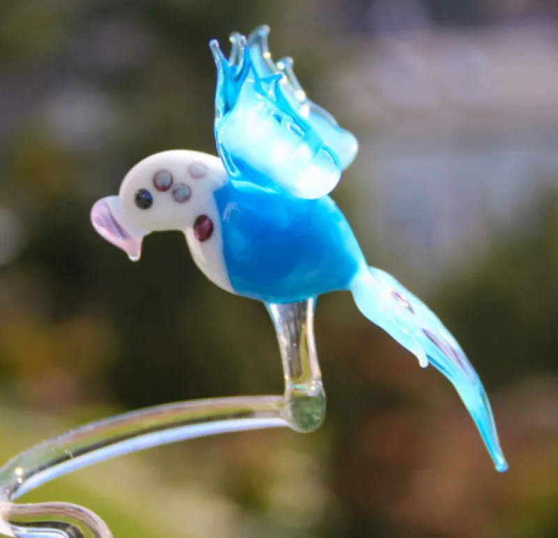 Orchideentopf & Stäbe^Cristalica Kingdom Orchideenstab Wellensittich (40cm)