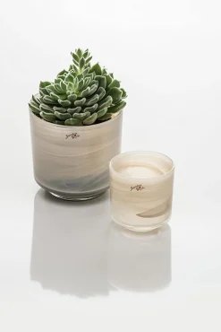 Orchideentopf & Stäbe|Kerzenhalter^Glaswaren sonstige Orchideentopf aus Glas creme Alabaster 10cm Übertopf Windlicht Votiv Dekoration