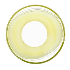 Schalen^German Crystal Schale "Elements" (Ø20cm)