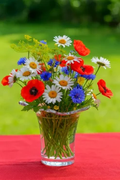 Weihnachten|Weihnachten^Cristalica Vase 