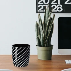 Gläserset^Cristalica Wasserglas